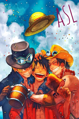 One Piece Brothers