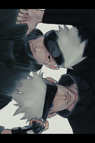 Dual Shadows: The Masked Heroes