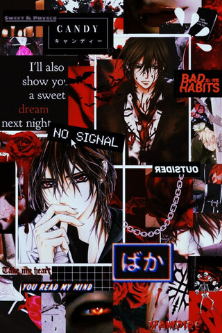Midnight Whispers: The Enigmatic Allure of Vampire Knight 🦇🌙