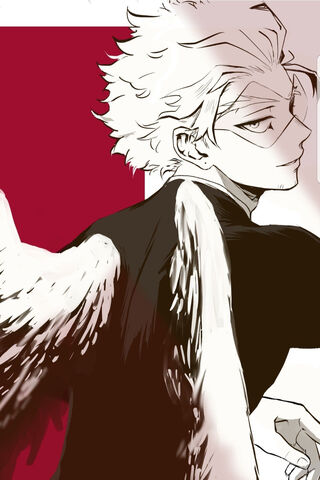 Wings of Valor: Hawks from MHA 🦅✨