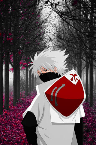 Kakashi Hokage