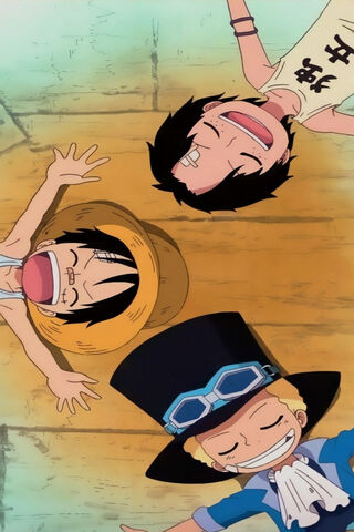 Adventures of the Straw Hat Crew! 🌊 ☠️