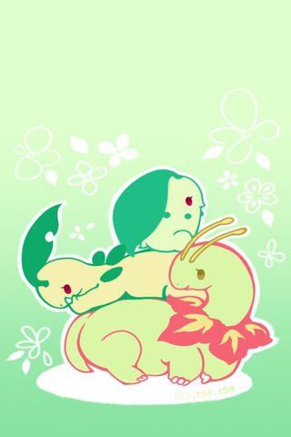 Pokemon Chikorita