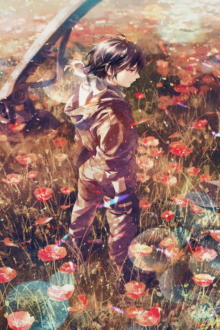 In the Fields of War: The Journey of Eighty Six