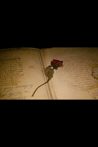 Gul: The Timeless Rose of Memories 🌹