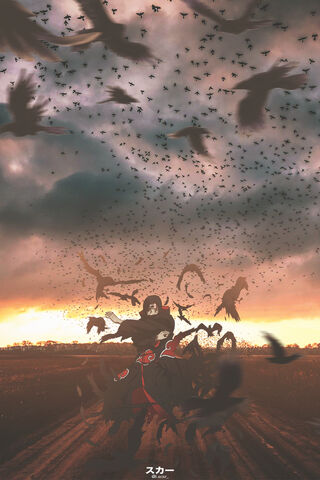 The Shadow of Itachi: A..