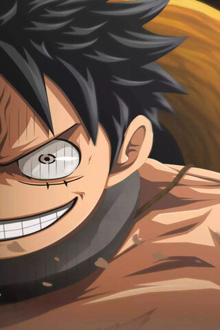 Luffy's Fierce Determin..
