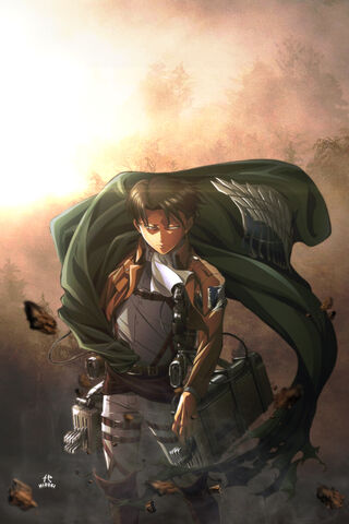 Levi Ackerman: The Unyi..