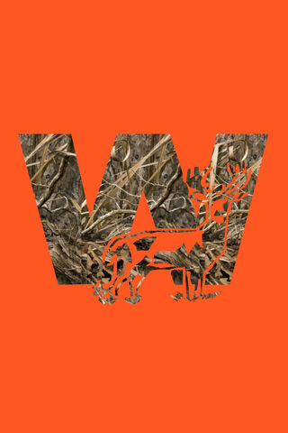 Wildlife Wonders: Nature's Camouflage 🌲🦌