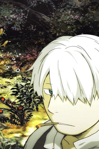 Whispers of Nature: The World of Mushishi 🌿✨