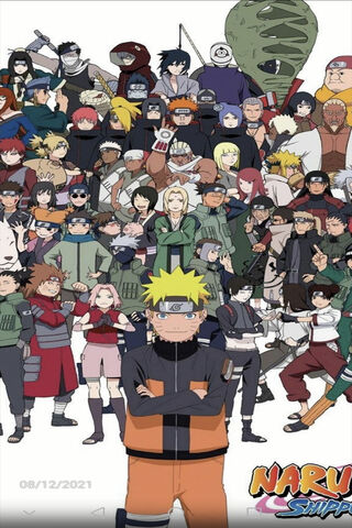 The Ninja Legacy: A Gat..