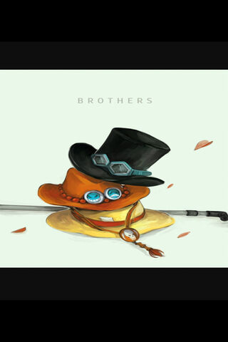 The Bond of Brothers in One Piece 🌊👒