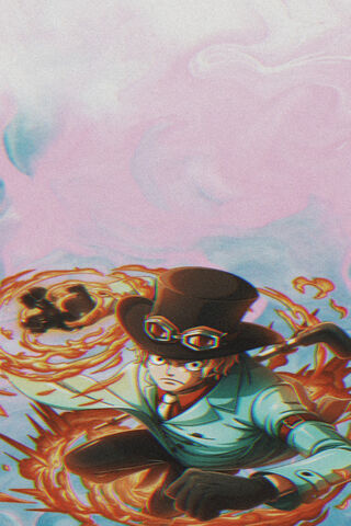 Flames of Adventure: The Legacy of One Piece 🔥🌊