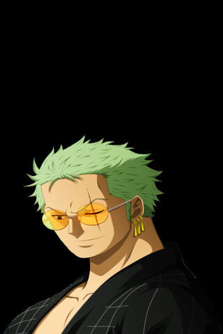 Zoro: The Fearless Swor..