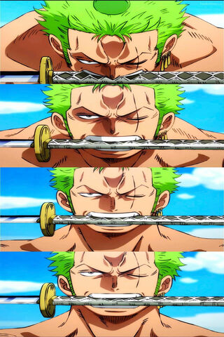 One Piece Zoro Wano