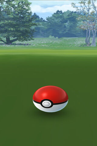 Pokemon Go Pokeball