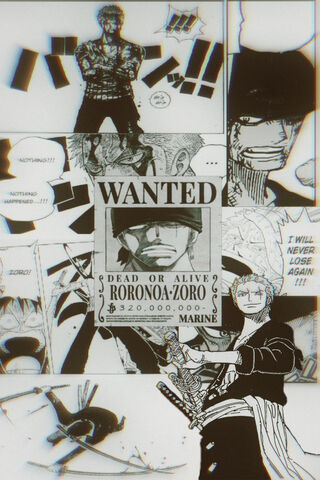 The Fearless Swordsman: Roronoa Zoro's Bounty
