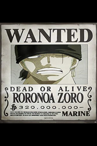 The Bounty of Roronoa Zoro: A Pirate's Dream 🌊⚔️