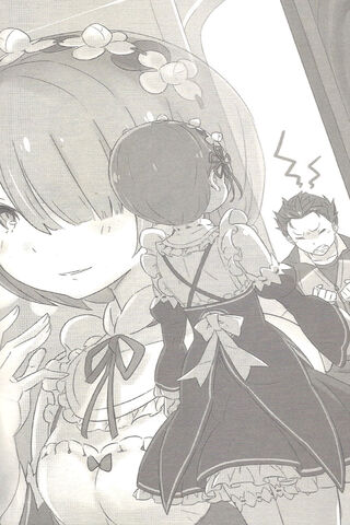 A Moment of Tension: Ram and Subaru's Encounter