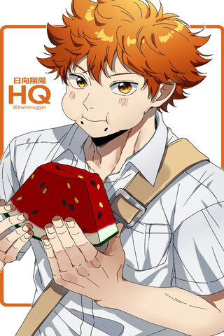 Shoyo Hinata