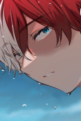 Shoto Todoroki