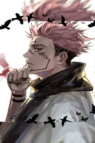 Sukuna: The Cursed King of Jujutsu