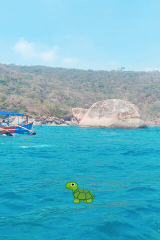 Turtle Adventures in Crystal Waters 🐢🌊