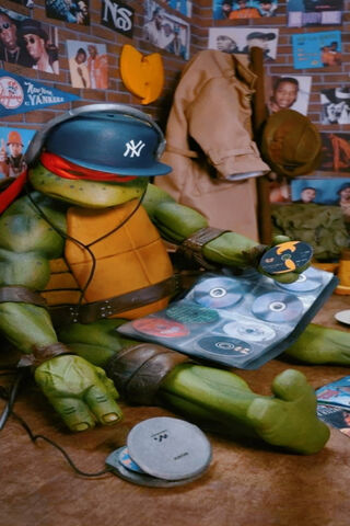 Tortuga Ninja: The Hip-Hop Hero