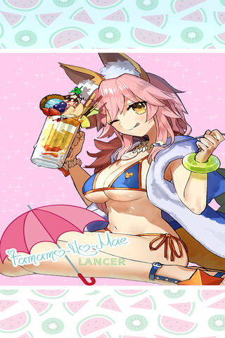 Tamamo Lancer