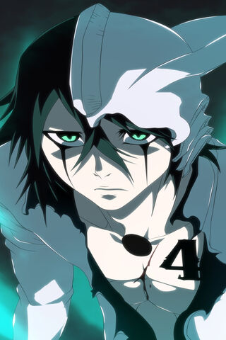 The Enigmatic Ulquiorra: A Soul Reaper's Dilemma