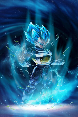 Vegeta: The Ascendant W..
