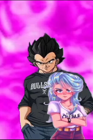 Vegeta And Bulma