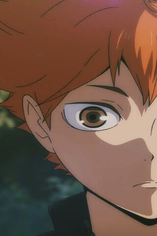 Hinata Haikyuu