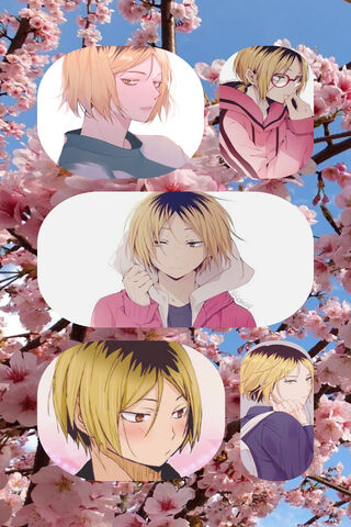 Kenma's Cherry Blossom Moments 🌸
