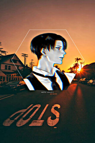 Levi: The Calm Before the Storm 🌅