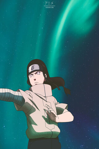 Neiji: The Dance of the Northern Lights