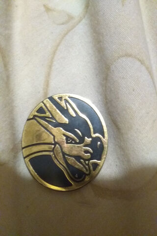 Charizard Coin