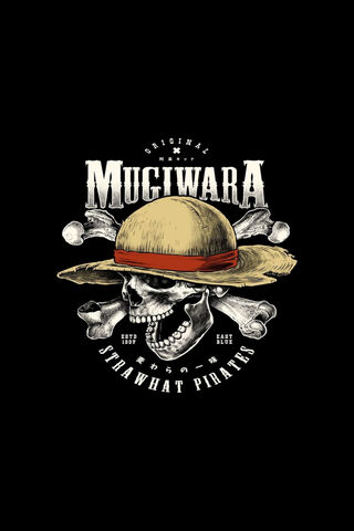 Adventure Awaits with the Mugiwara Crew! 🌊 ☠️