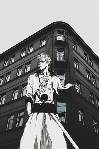 Grimmjow: The Fierce Spirit of the Streets