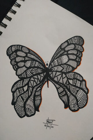 Kirimina: The Art of Transformation 🦋✨