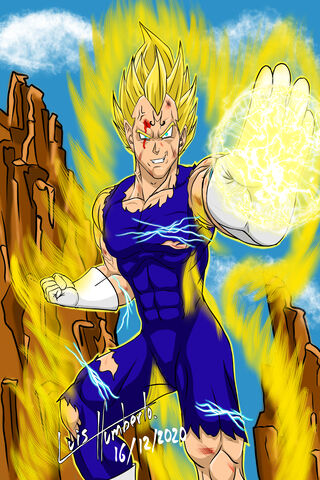 Majin Vegeta Fan Art