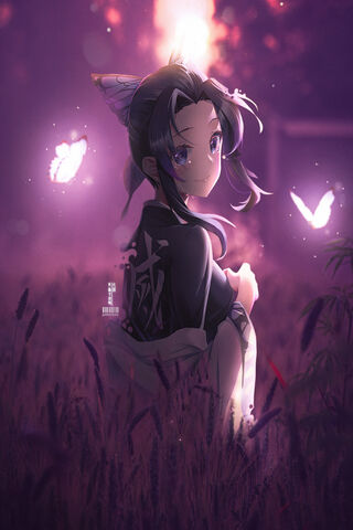 Whispers of the Night: Shinobu Kocho's Enchantment 🌌🦋