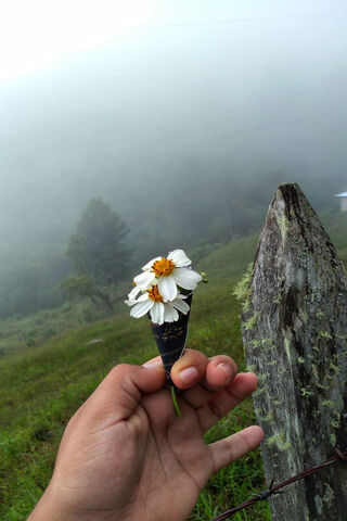 Andrea's Floral Embrace 🌼✨