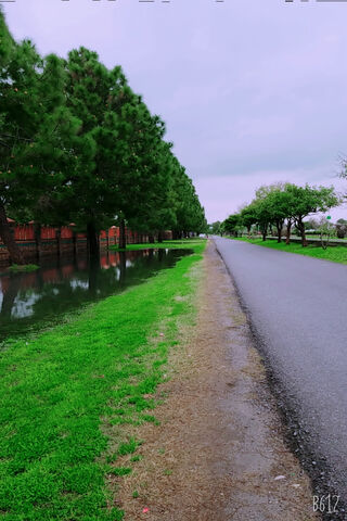 Greeny Serenity: A Tranquil Pathway
