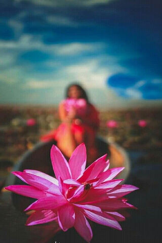 Lotus Dreams: A Serene Escape 🌸✨