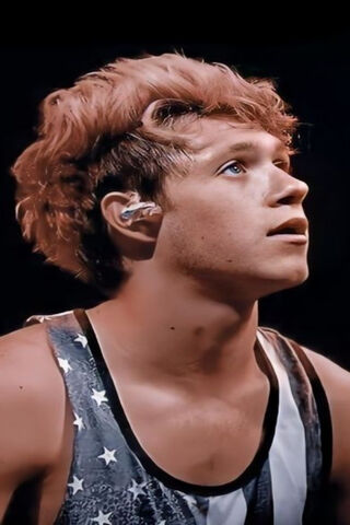 Rising Star: Niall Horan in the Spotlight 🌟