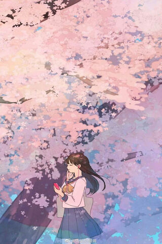 Blossoms of Youth: The Amine Girl