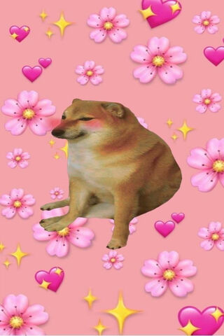 Cheems: The Adorable Meme Sensation! 🐶💖