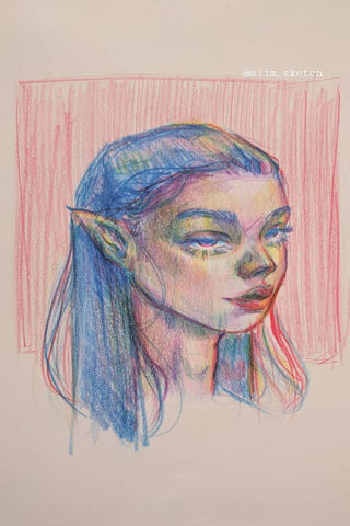 Enchanted Elegance: The Elf Woman 🌟