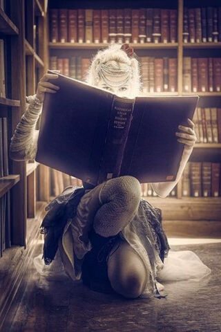Whispers of Enchantment 📚✨